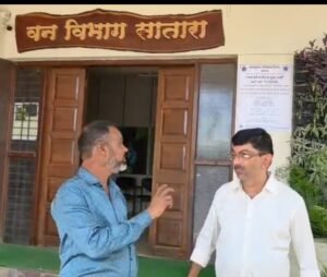 सातारा जिल्ह्यात वनाचा सौदा करून पर्यावरण दीन साजरा- महारुद्र तिकुंडे