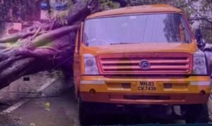 चेंबूरमध्ये शाळेच्या बसवर भलेमोठे झाड कोसळले; १० विद्यार्थी जखमी, बचावकार्य युद्धपातळीवर