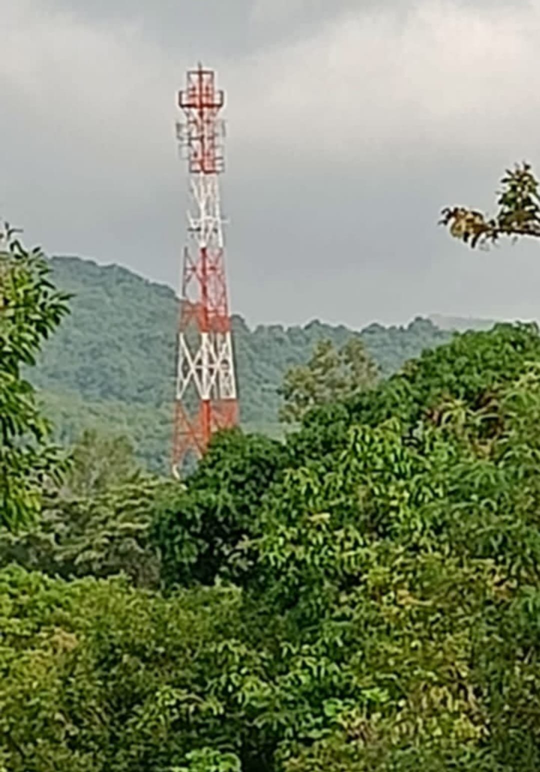 महाबळेश्वर दुर्गम भाग नेटवर्कअभावी डिजिटल इंडियाच्या परिघा बाहेर….