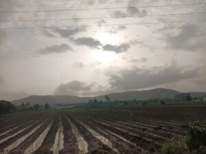 अतिवृष्टीचा इशारा, शाळांना सुट्टी; पाऊस नाही, विद्यार्थ्यांचे शैक्षणिक नुकसान