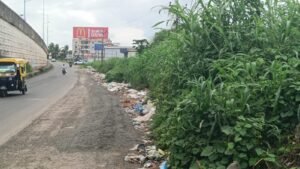 वारुंजी फाटा बनला कचऱ्याचा अड्डा; स्वच्छतेचा बोजवारा