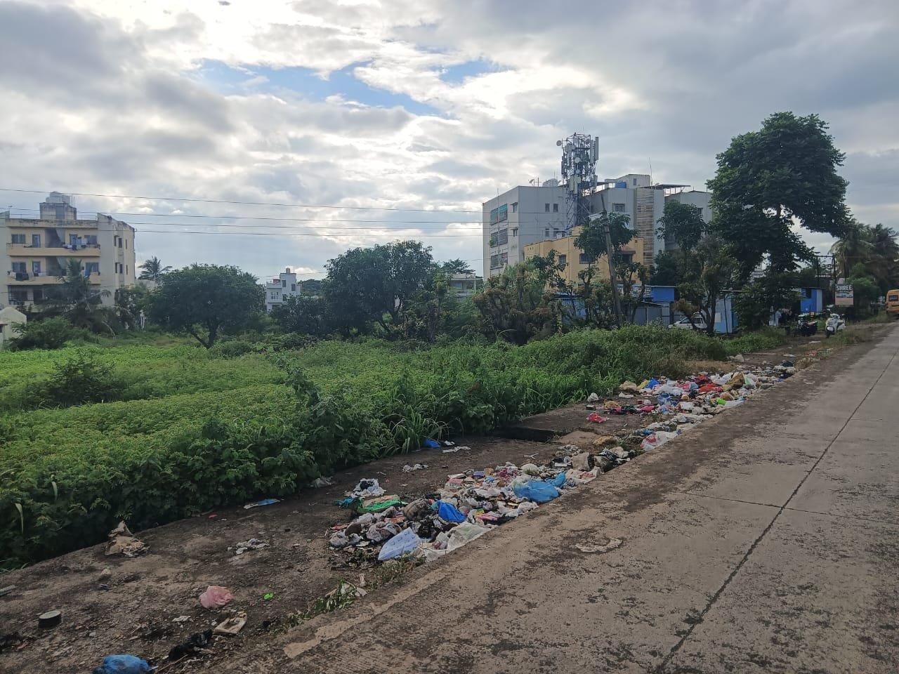 कार्वे, कराड  रस्त्यालगत कचऱ्याचे ढीग; स्वच्छतेचा प्रश्न ऐरणीवर