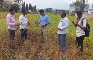 सातारा जिल्ह्यात पिकांच्या नुकसानीचे पंचनाम्यासाठी खंडाळा तालुका आघाडीवर…
