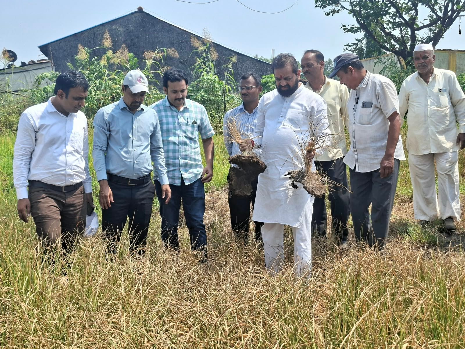 तांभाड येथे पिक नुकसान पंचनाम्याची आमदार दिलीप लांडे यांनी केली पाहणी; शेतकऱ्यांना तातडीने मदत मिळवून देण्याच्या सूचना